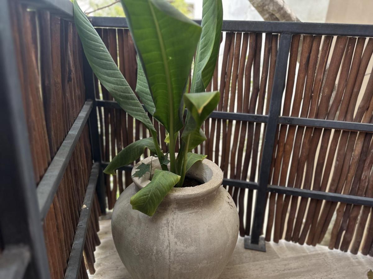 Ophelia Tulum Condo In Aldea Zama المظهر الخارجي الصورة