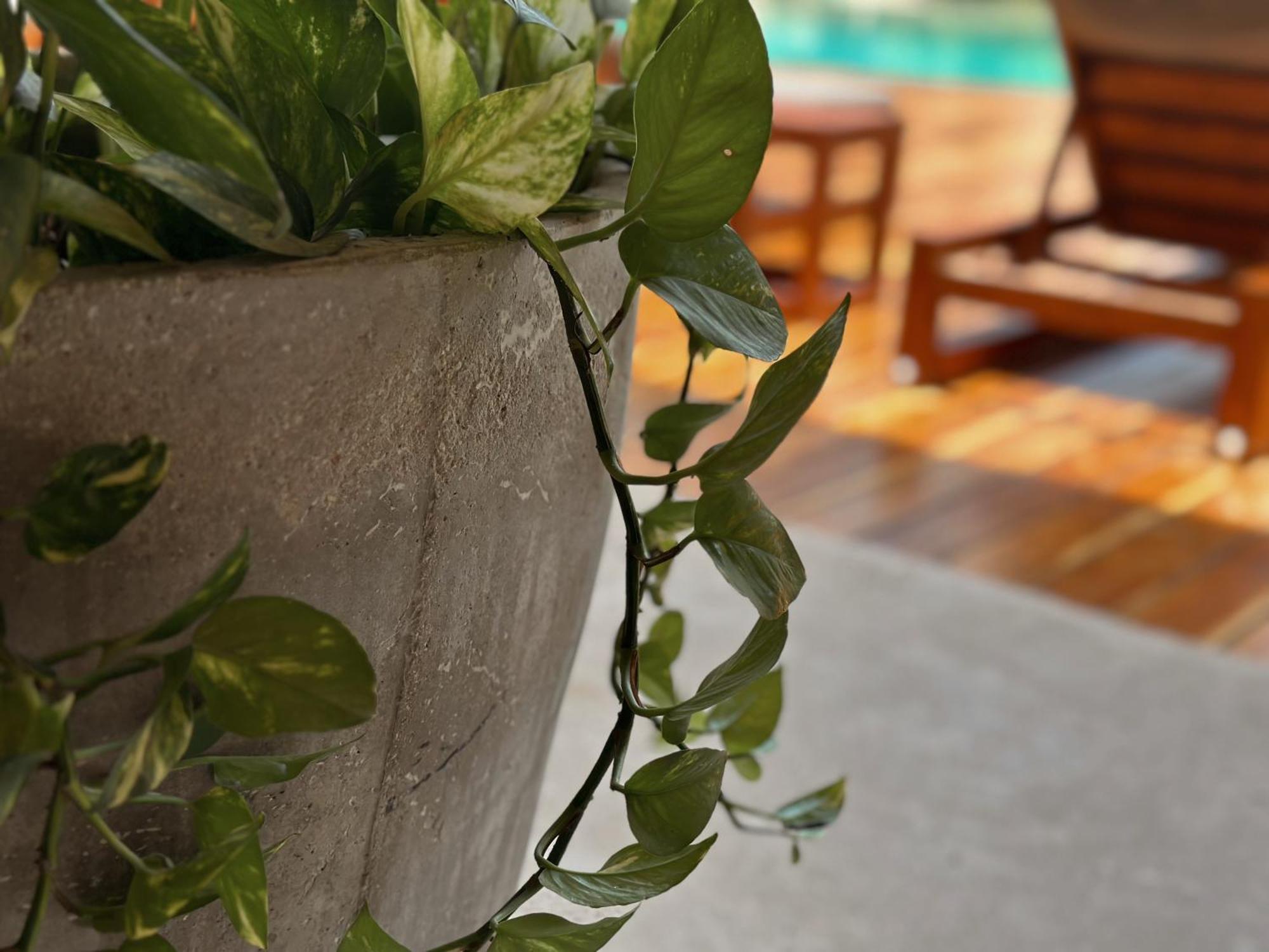 Ophelia Tulum Condo In Aldea Zama المظهر الخارجي الصورة