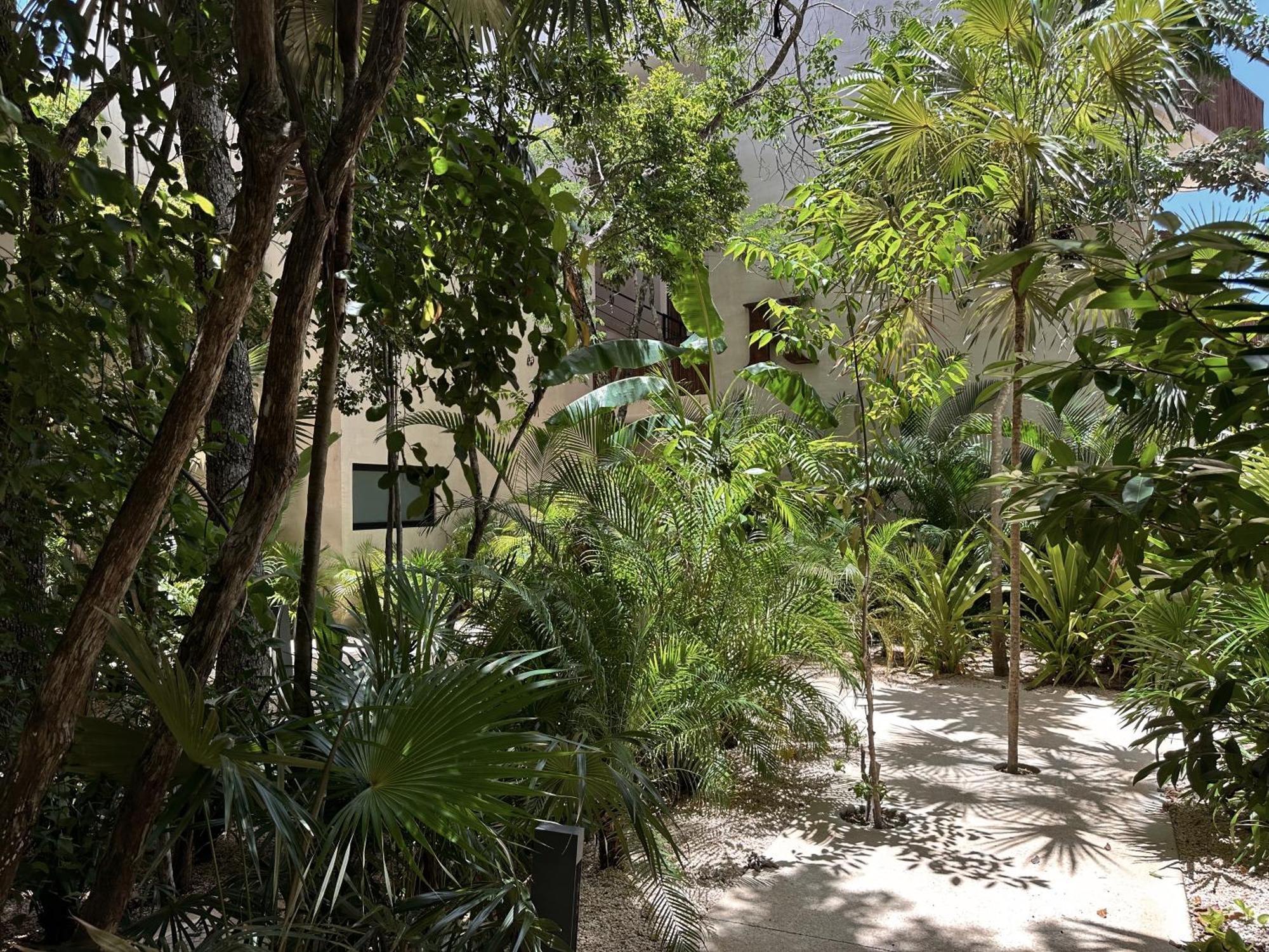 Ophelia Tulum Condo In Aldea Zama المظهر الخارجي الصورة