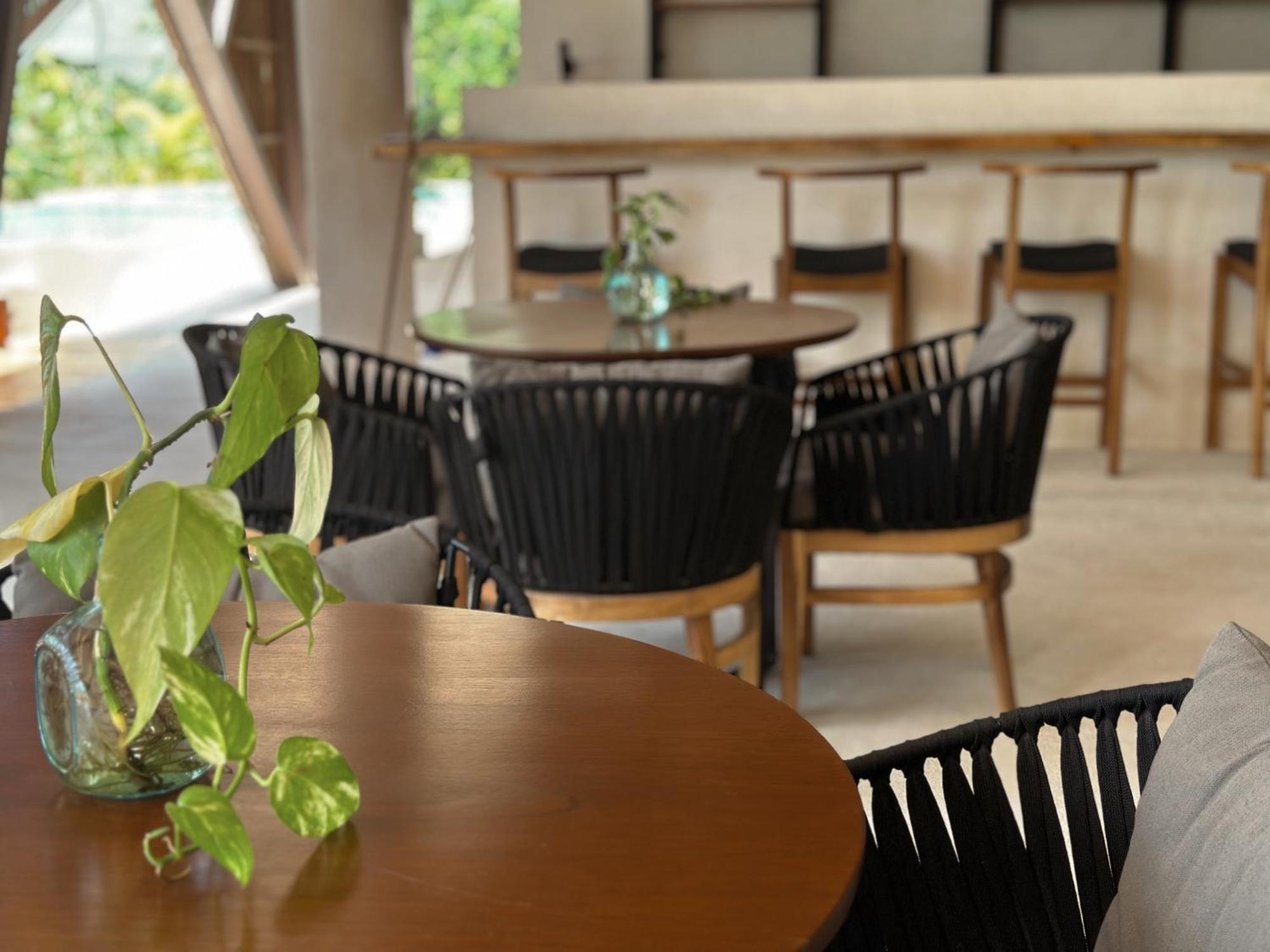 Ophelia Tulum Condo In Aldea Zama المظهر الخارجي الصورة