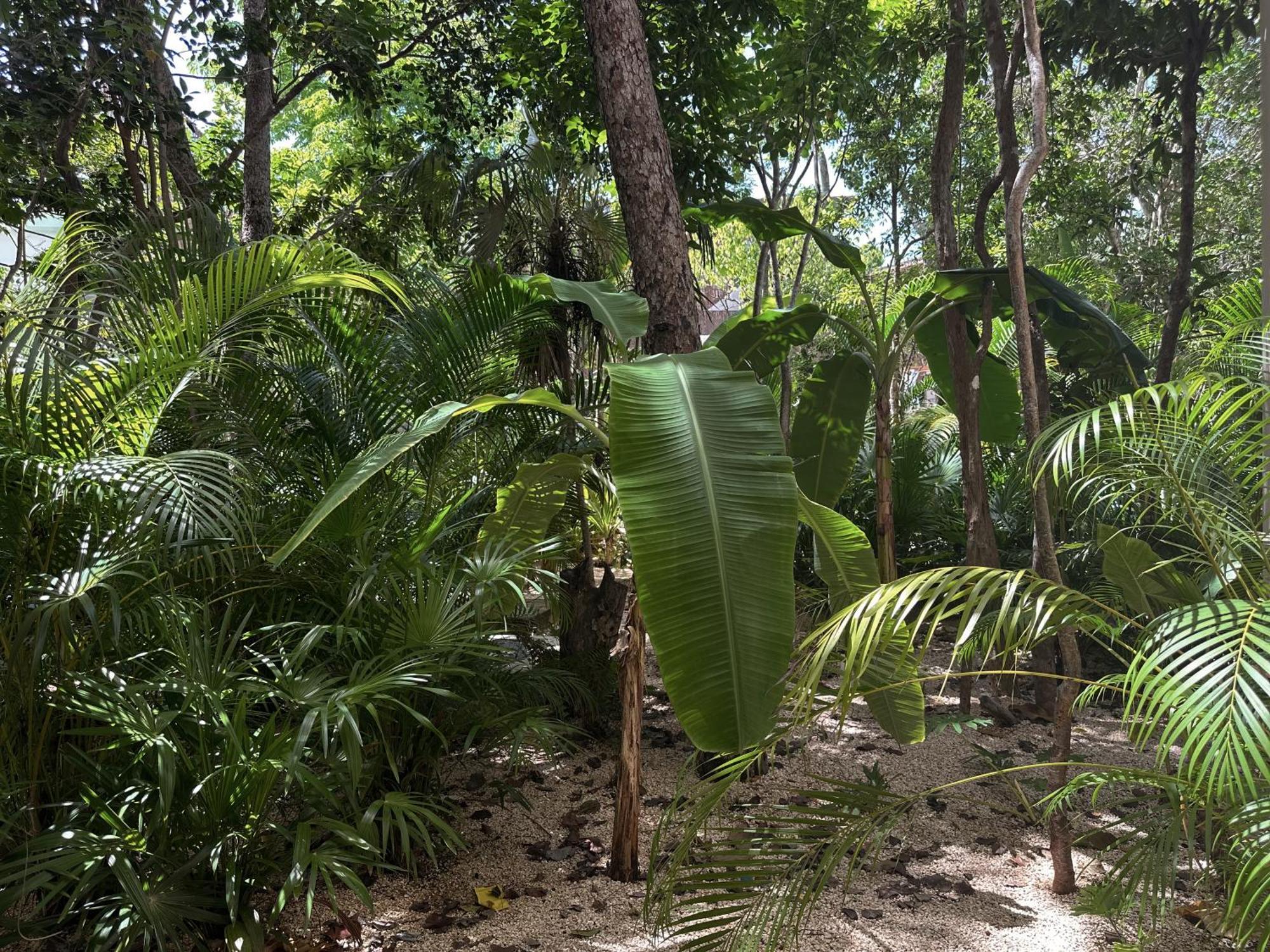 Ophelia Tulum Condo In Aldea Zama المظهر الخارجي الصورة